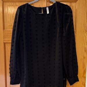 Black Semi-Sheer Swiss Dot Long Sleeve Blouse